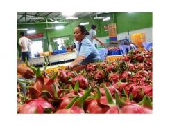 Xuất khẩu trái cây Việt Nam sẽ tăng vọt khi giảm cước, phí