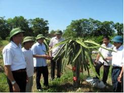 Sức lan tỏa lớn từ Chương trình Tự hào Nông dân Việt Nam