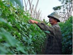 Tiếp vốn cho các xã cán đích năm 2016