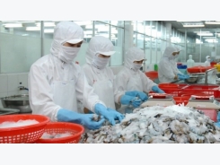 Seafood export likely to move from far to near markets