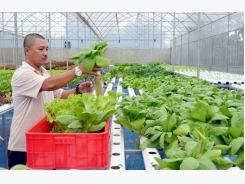 Overseas Vietnamese call for more gov’t support for hi-tech agriculture