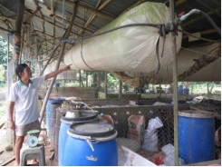 Hiệu quả việc xử lý chất thải bằng túi biogas