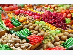 Fruit and vegetable exports grow amid concern about product quality