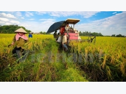 Vietnam, Germany cooperate in vocational training for farmers