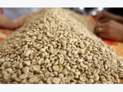 Mid-Nov coffee harvest expected in Vietnam; Indonesia quiet