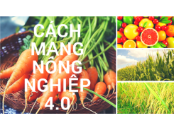 Vietnam boosts Agriculture 4.0