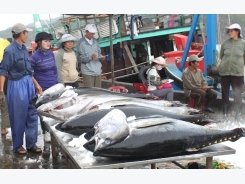 EU yellow card will likely hurt VN seafood
