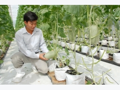 Tạo đà cho rau củ, quả tươi Việt Nam vào EU