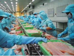 Châu Âu 'rút thẻ vàng' với hải sản Việt Nam