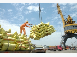 Vietnam to exceed the rice export target for 2017