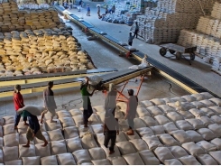 Can Tho to ship first rice batch to Iran