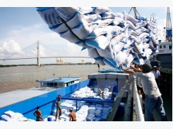VFA hikes rice export target on strong demand