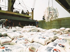 Rice export business: Just loosening but not 'untying'?