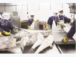 Will seafood exports reach 9 billion USD target?