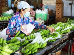 Vietnam’s fruit, veggie exports likely to exceed 4 billion USD