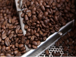 Asia Coffee: Vietnam quiet despite recovery in global prices; Indonesia premiums tighten