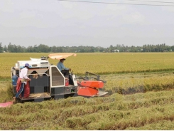 Can Tho bolsters agricultural cooperation with Cuba