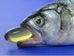 Oils with high SFA levels may support aqua feed fish oil reduction