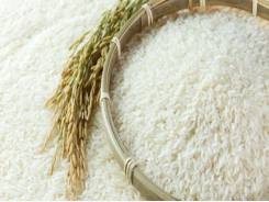 Vietnam to host its first World Rice Conference