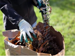 6 Mistakes You’re Making With Your Compost Pile