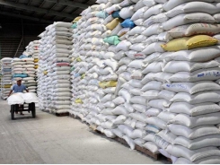 Rice exports set to go up on increasing demand