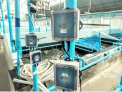 Global Aquaculture Innovation Award finalist: Osmo Systems
