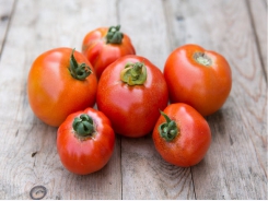 How to grow tomatoes