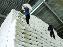 Vietnam top rice exporter Vinafood II posts US$3.8 million profit in H1