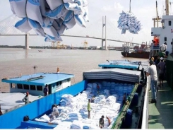 Vietnam’s rice exports up in both volume and value in first eight months