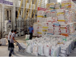 Bright prospect predicted for rice exports in Q4