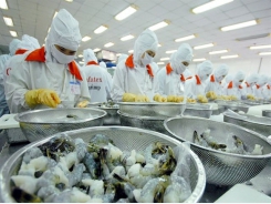 VN seafood companies face barriers in home market