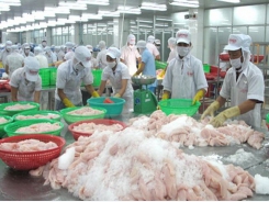 Modern processing, preserving technology ensures food safety: experts