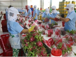 Vietnam’s farm produce uncompetitive because of packaging problems