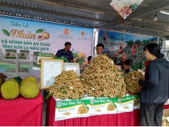 Việt Nam steps up work to help longan enter Australian market