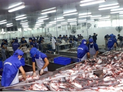 Tra fish companies see stock prices plummet