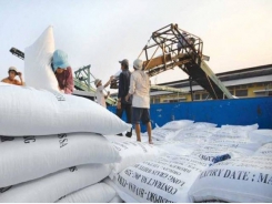 Thua Thái Lan, kém Ấn Độ, giá gạo Việt thấp nhất gần 12 năm