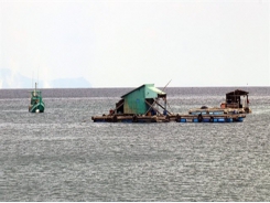Kiên Giang expands marine aquaculture on industrial scale