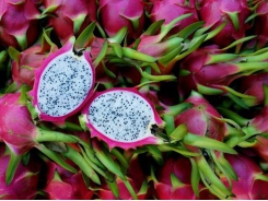 Customers' preference helps Vietnamese foods foray deeper into Thai market