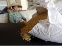 Indian rice prices slip on weak African demand; strong baht hurts Thai exports