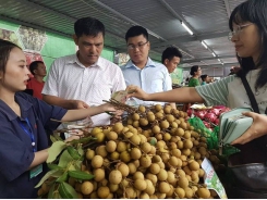Vietnam longan was “blew the whistle” when exporting to Australia