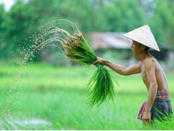 Vietnam wants to be top 15 organic farming countries