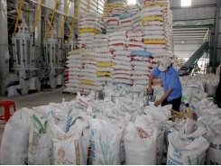 Eight-month rice exports down