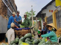 Vietnam’s veggies and fruits can no longer cross the border to enter China