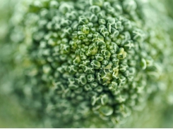 Garlic and broccoli: A delicious pairing that also repels pests