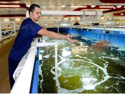 What can aquaculture learn from terrestrial livestock production?