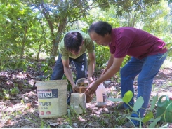 Organic farming helps small businesses grow