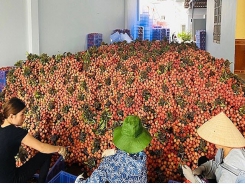 Decrease in exports of fruit and vegetable to China, “jump” in Thailand