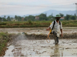 Pesticide producers’ profits plummet as Covid-19 hits farming