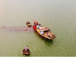 Farming organic shrimps in Mekong Delta