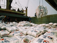 Việt Nam exports nearly 4m tonnes of rice in seven months